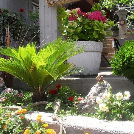 טיווט Apartments Sandra מראה חיצוני תמונה