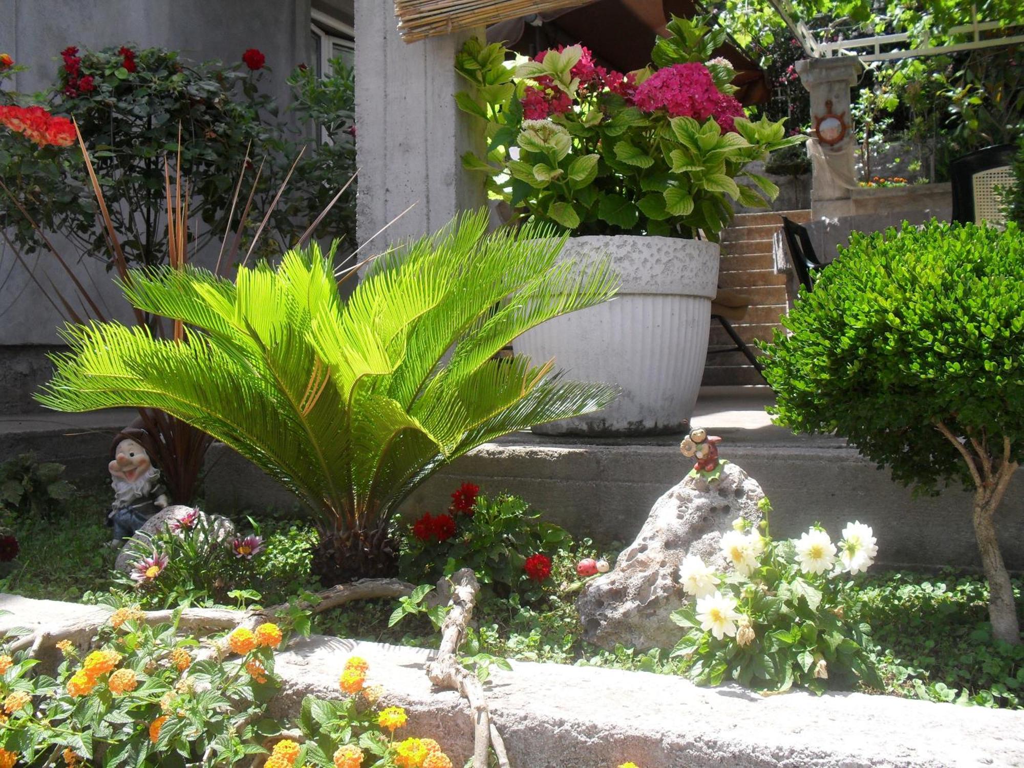 טיווט Apartments Sandra מראה חיצוני תמונה