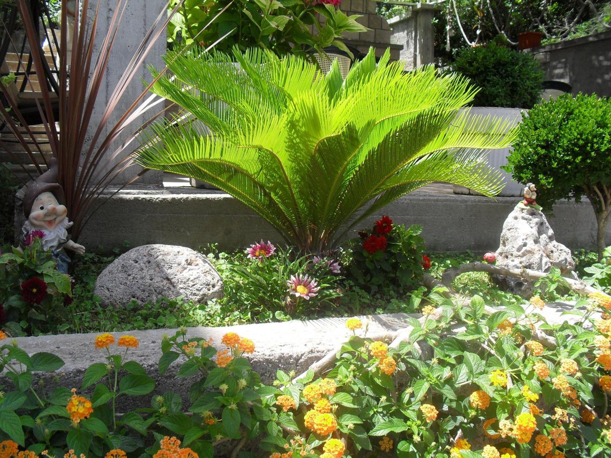 טיווט Apartments Sandra מראה חיצוני תמונה